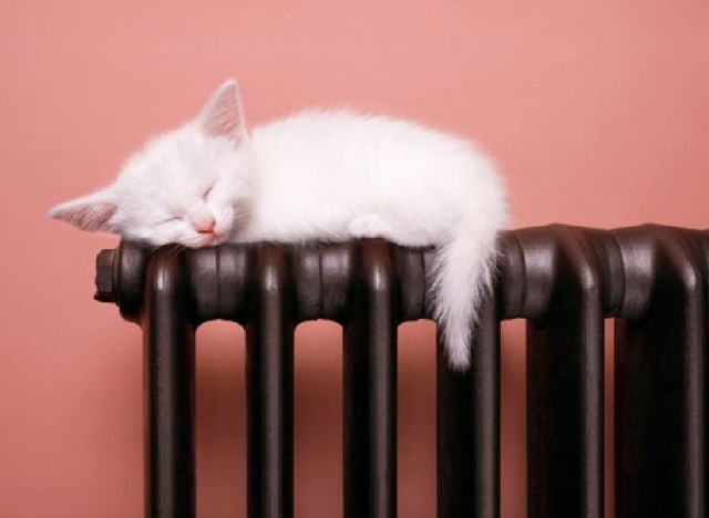 Температура в домах жителей Партизанского ГО соответствует утверждённым нормам